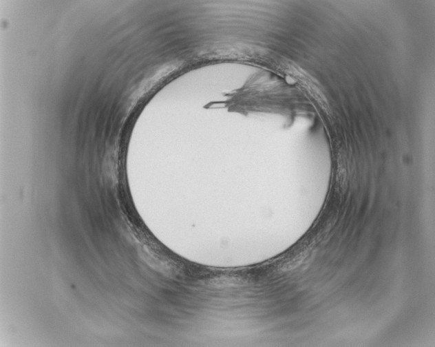 X0000087750578200706041104