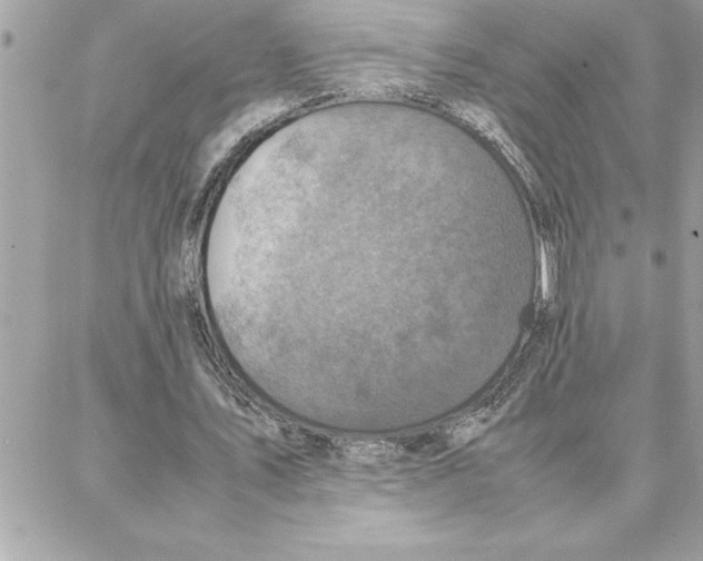 X0000087750579200706041104