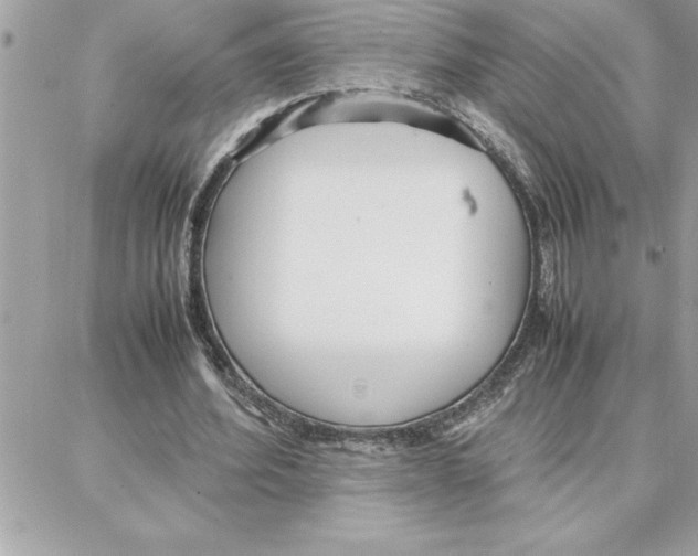 X0000087750580200706041104