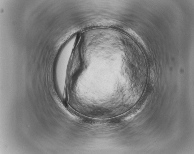 X0000087750581200706041104