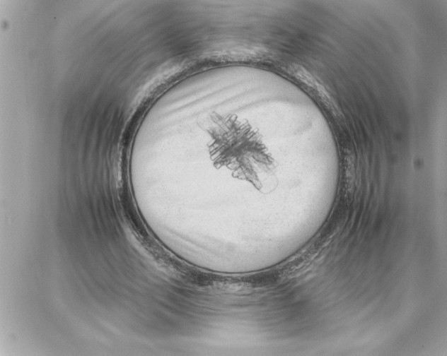 X0000087750582200706041104