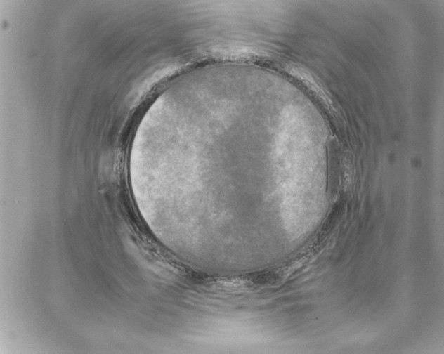 X0000087750583200706041104