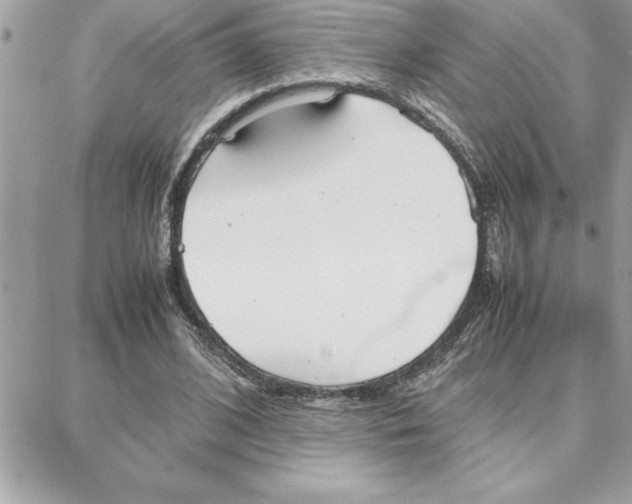 X0000087750584200706041104