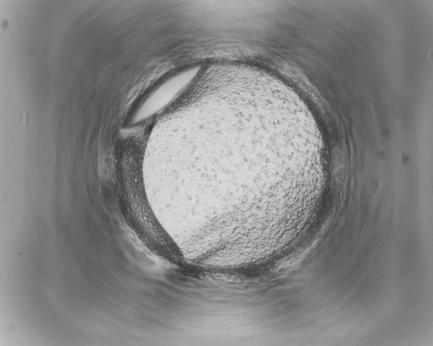 X0000087750585200706041104