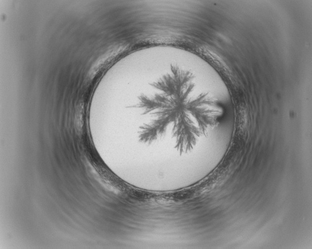 X0000087750586200706041104