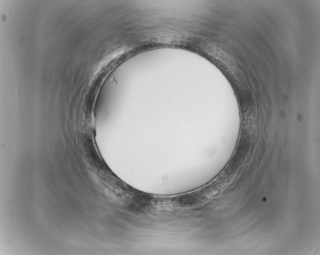 X0000087750587200706041104