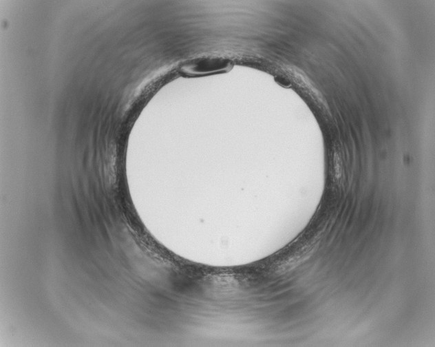 X0000087750588200706041104