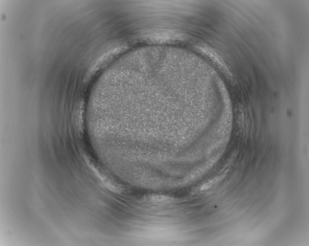 X0000087750590200706041103