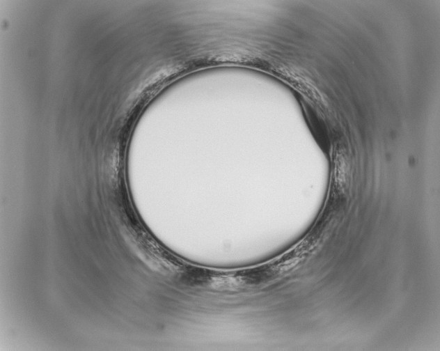 X0000087750591200706041103