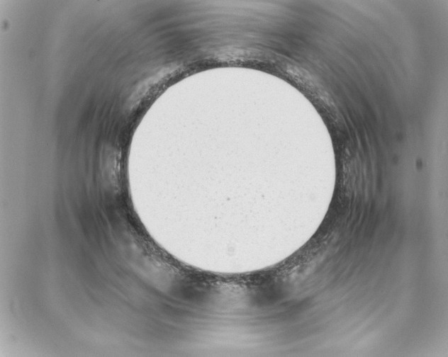 X0000087750592200706041103