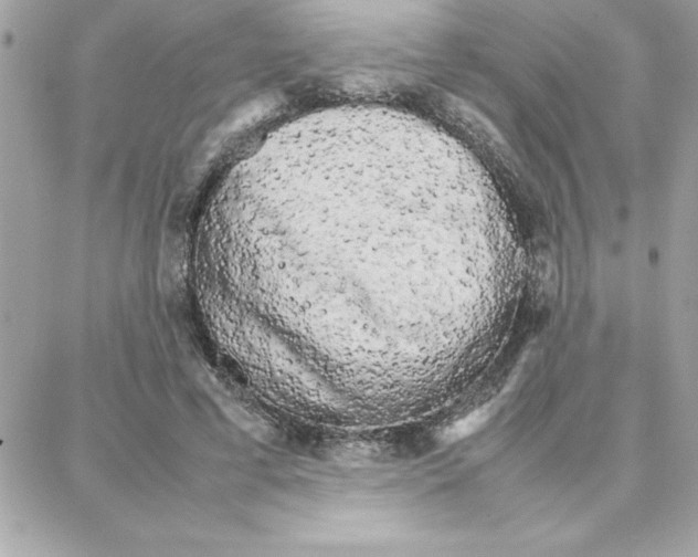 X0000087750593200706041103