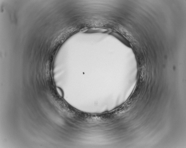 X0000087750594200706041103