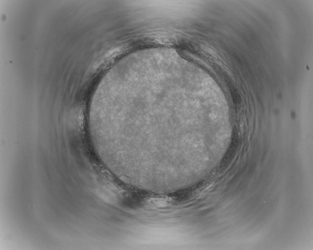 X0000087750595200706041103