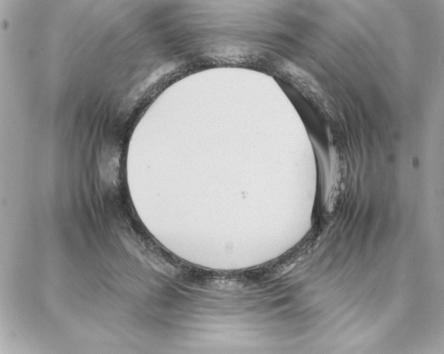 X0000087750596200706041103