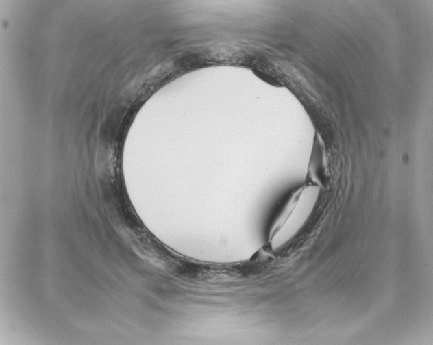 X0000087750597200706041103