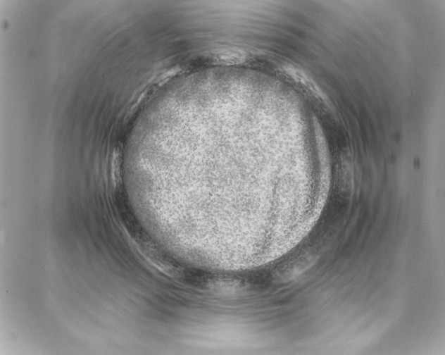 X0000087750598200706041103