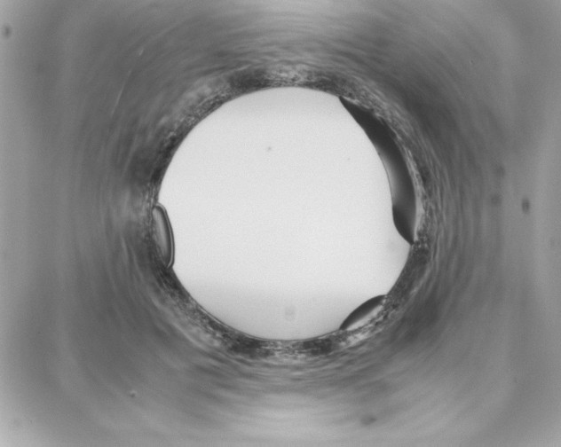 X0000087750601200706041103