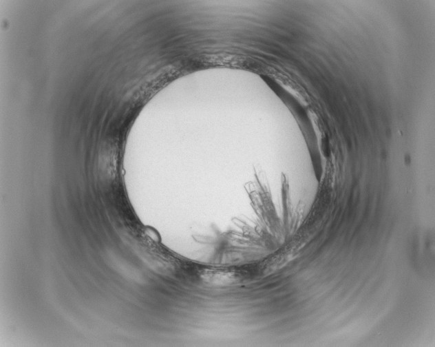 X0000087750602200706041103