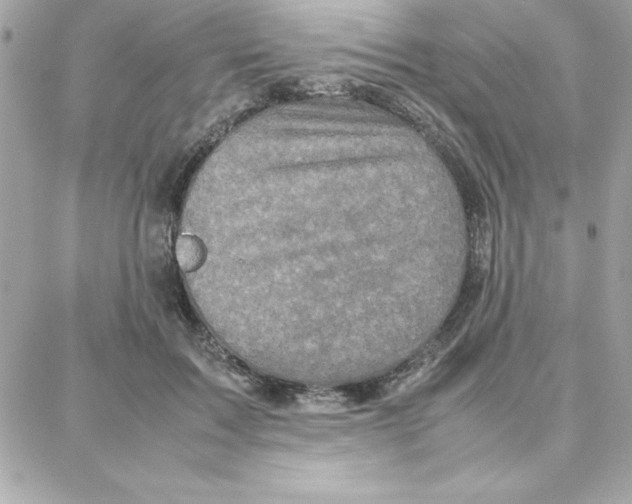 X0000087750603200706041103