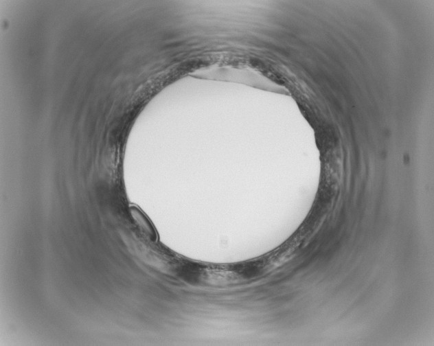 X0000087750605200706041103