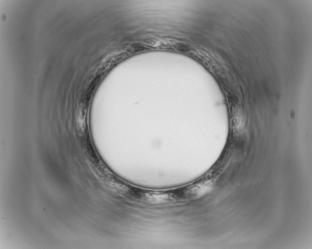 X0000087750607200706041103