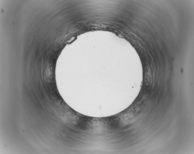 X0000087750608200706041103