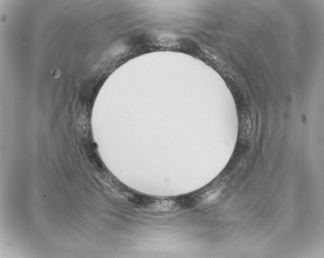 X0000087750609200706041103