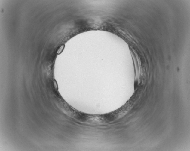 X0000087750611200706041103