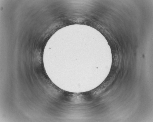 X0000087750612200706041103