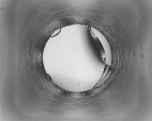 X0000087750613200706041103