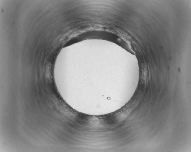 X0000087750616200706041103