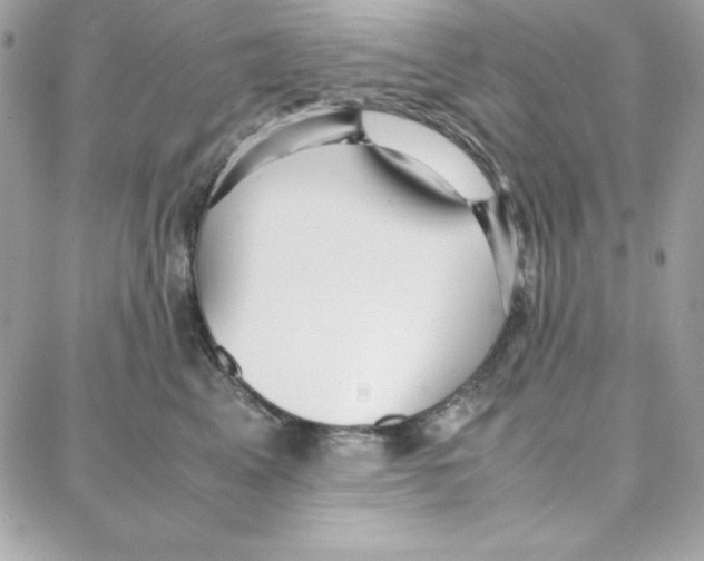 X0000087750617200706041103