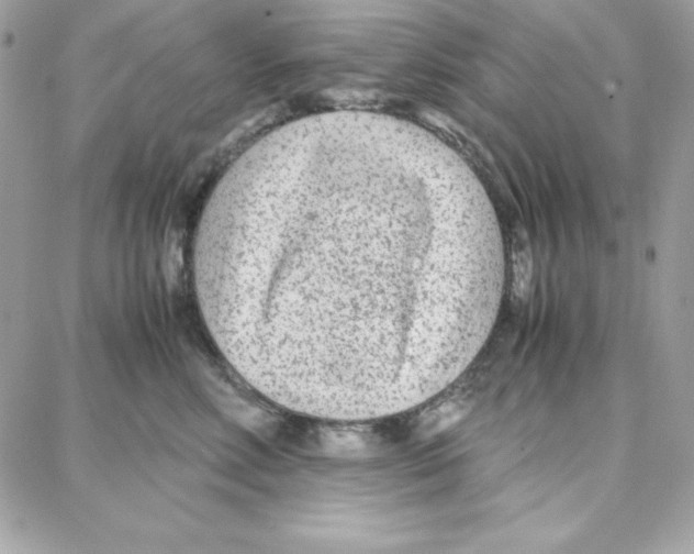 X0000087750618200706041103