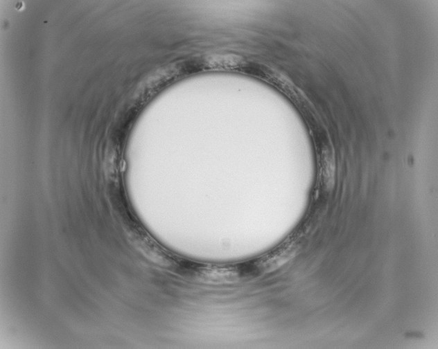 X0000087750619200706041103