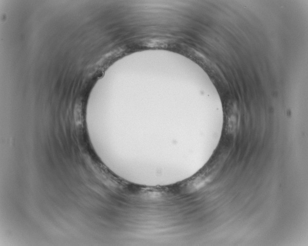 X0000087750620200706041103