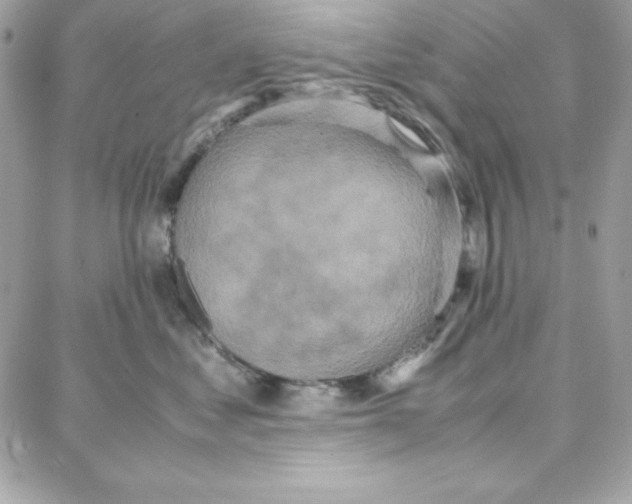 X0000087750621200706041103