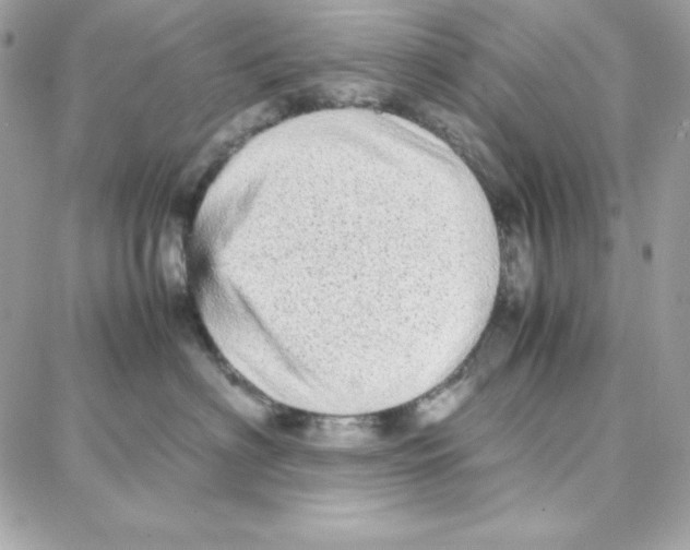 X0000087750622200706041103