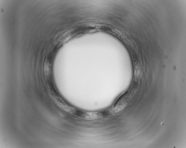 X0000087750623200706041103