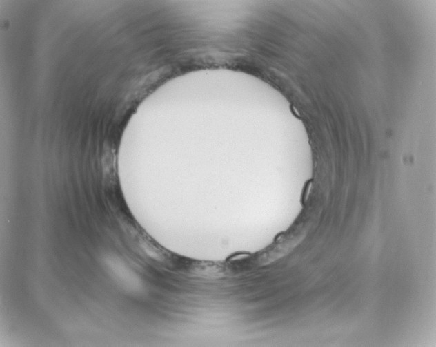 X0000087750624200706041103