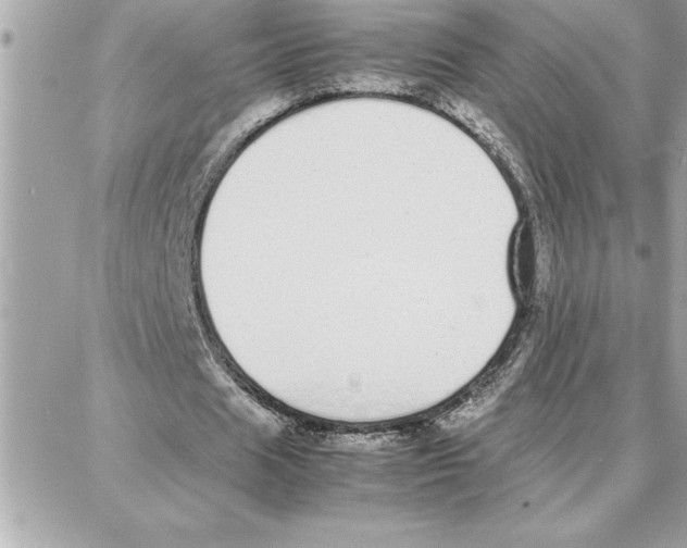 X0000087750625200706041102