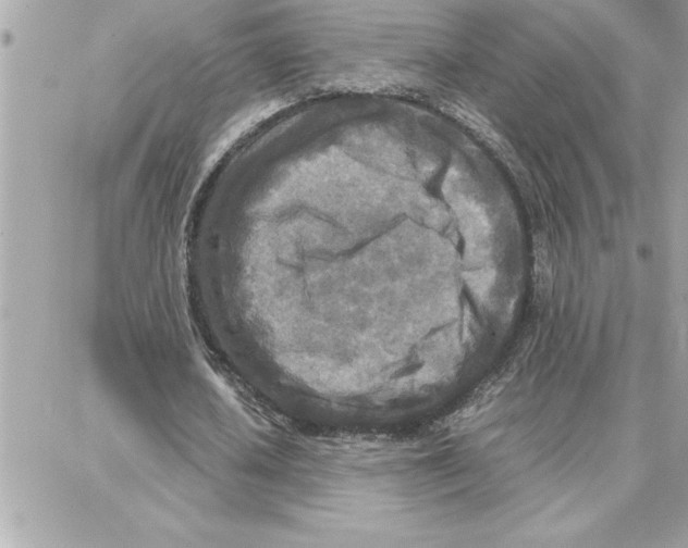 X0000087750626200706041102