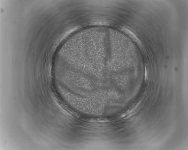 X0000087750627200706041102