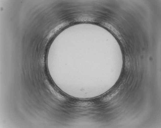 X0000087750629200706041102