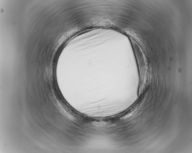 X0000087750630200706041102