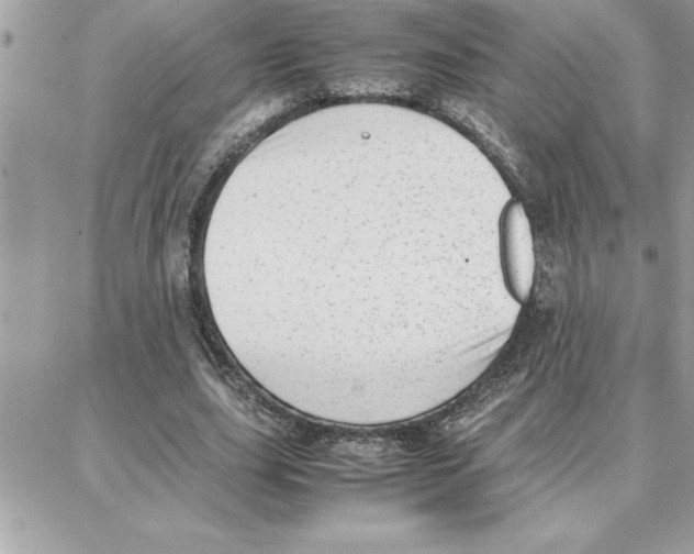 X0000087750631200706041102