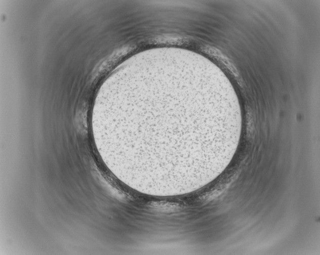 X0000087750633200706041102