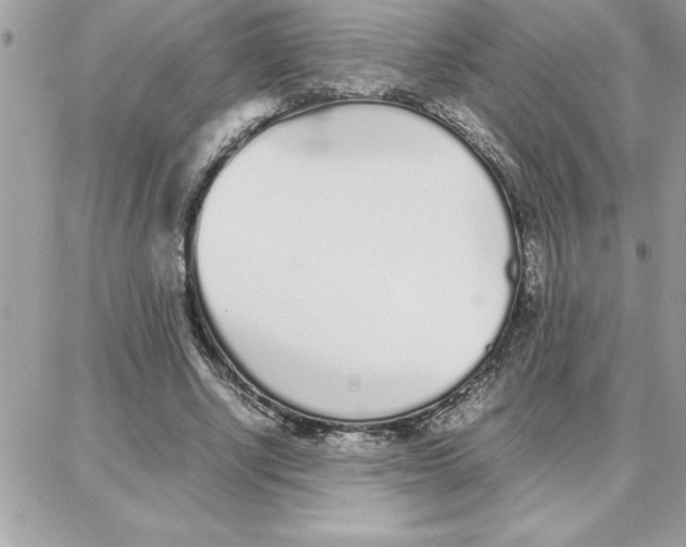 X0000087750634200706041102