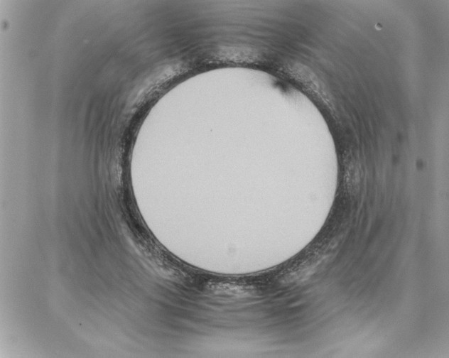 X0000087750635200706041102