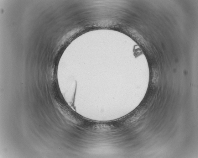 X0000087750636200706041102