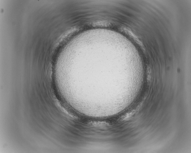 X0000087750637200706041102